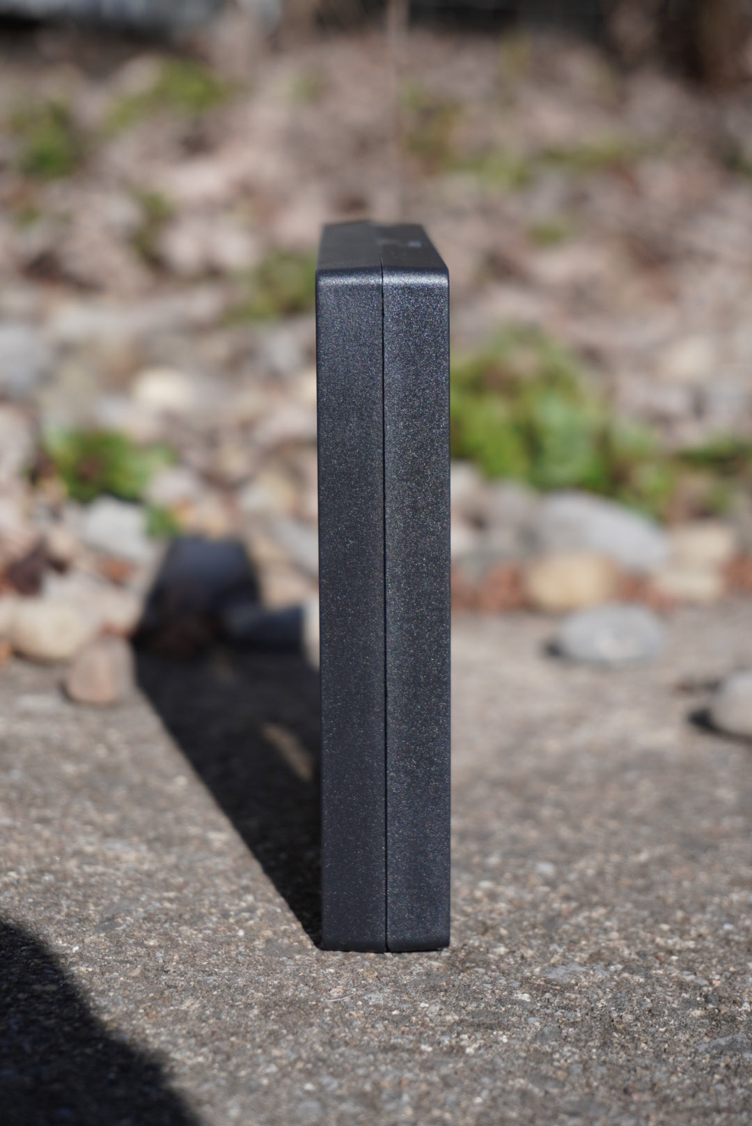 Blood Red Glider Butterfly, Cymothoe sangaris