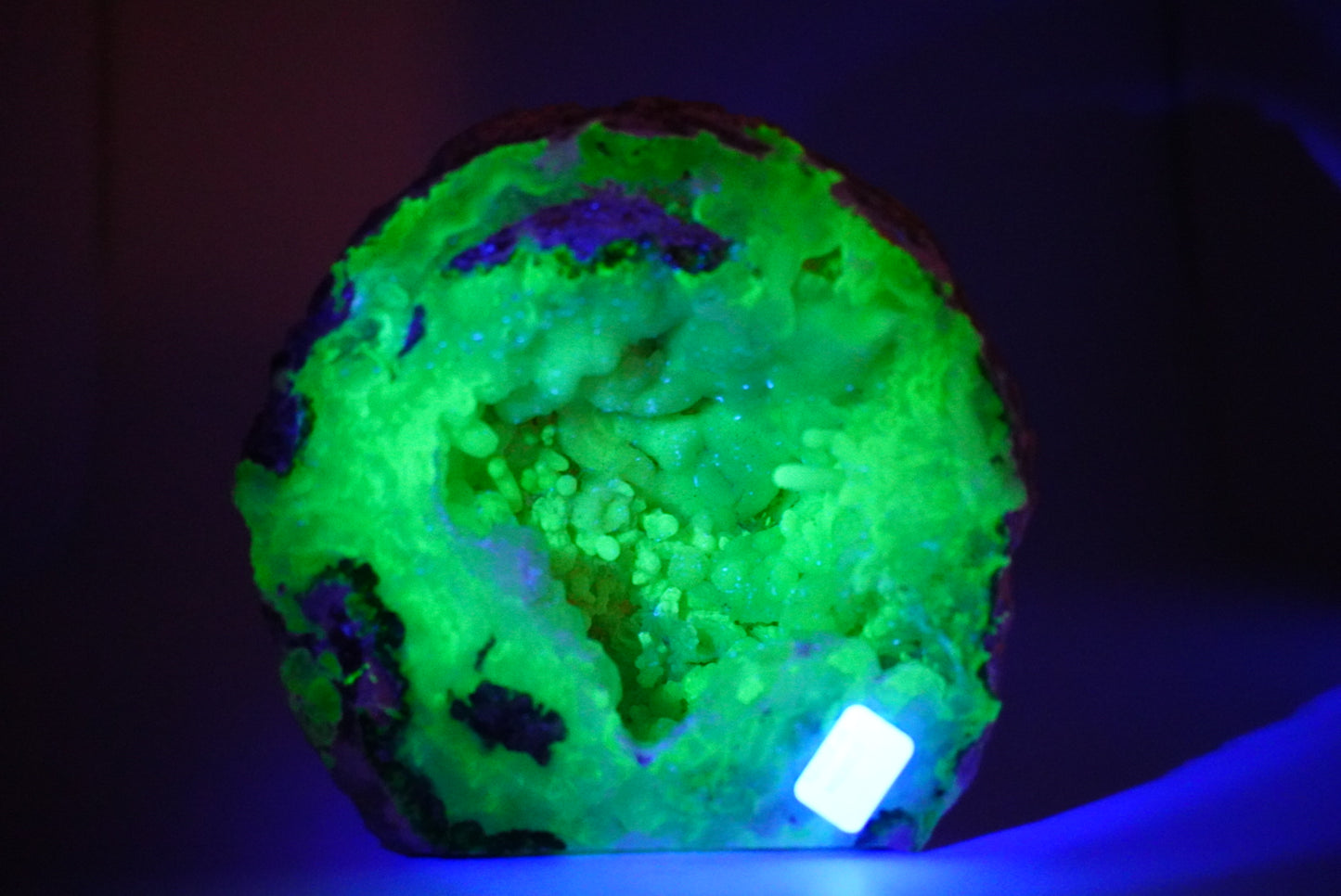 Trancas Geode Cutbase