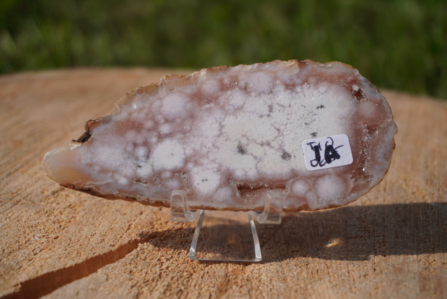 Pink Amethyst Flower Agate Slabs