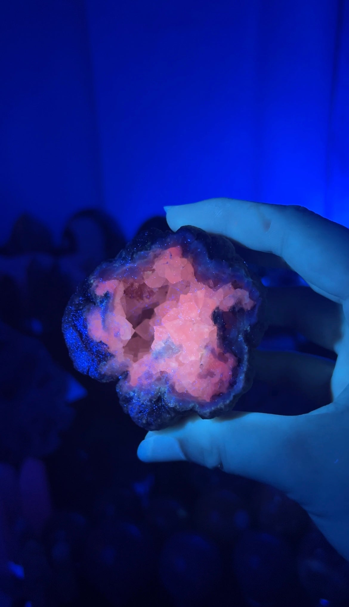 Pink Amethyst Geode with Calcite Inclusions