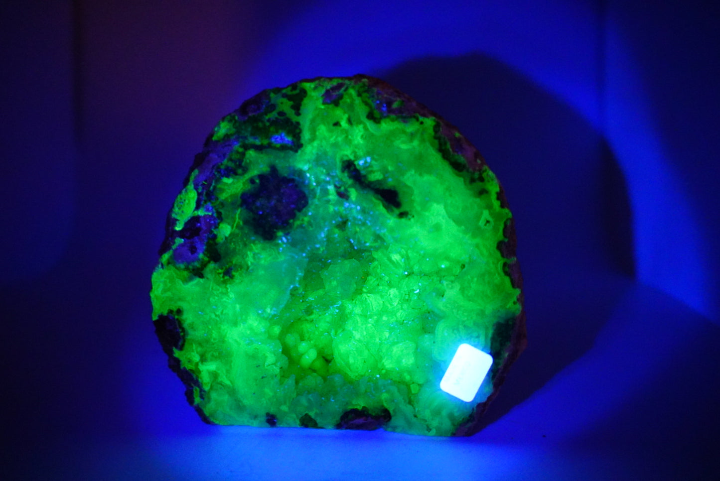 Trancase Geode Cutbase