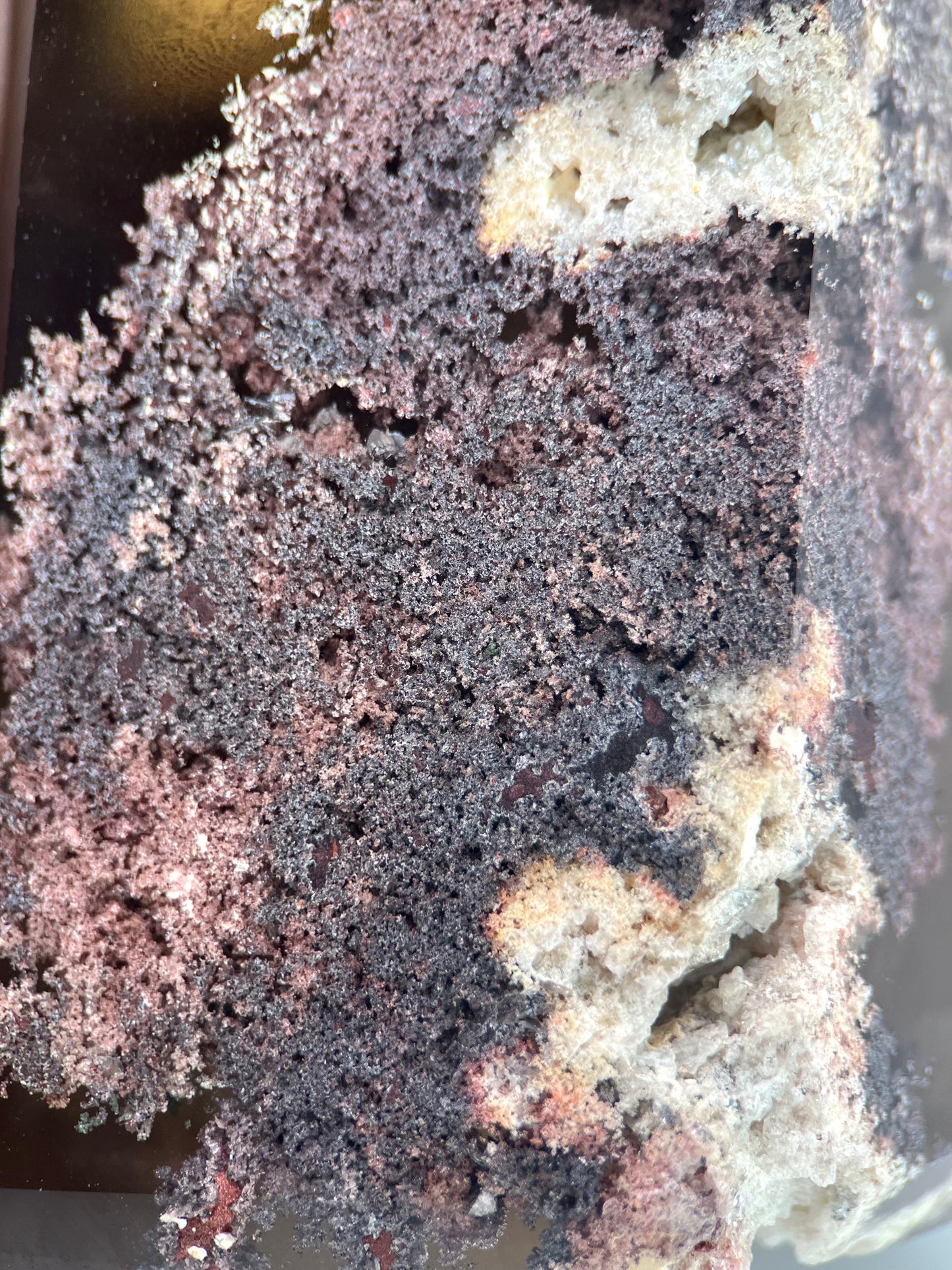 Smoky Lodolite Quartz Statement Tower