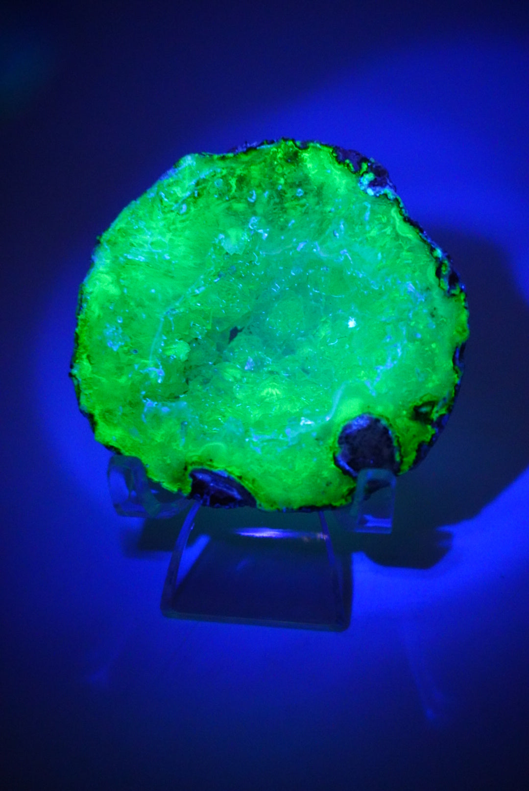 Losa de Geoda Trancas