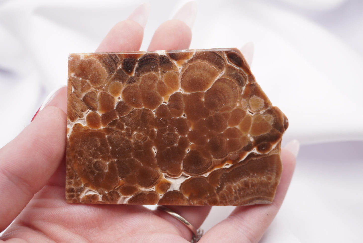Chocolate Opal Slab