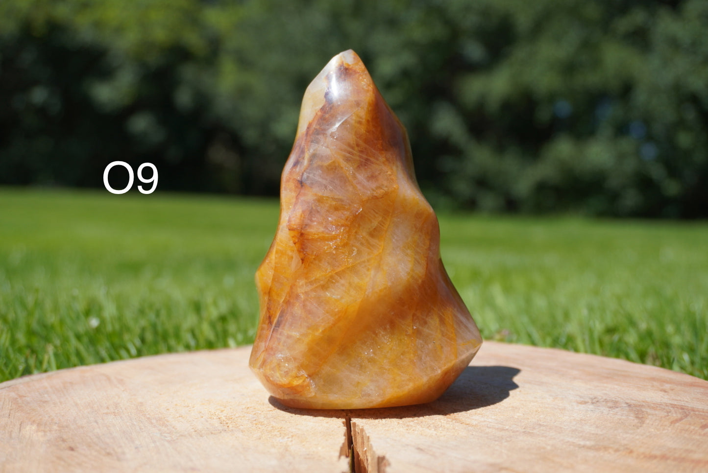 Llamas doradas del sanador