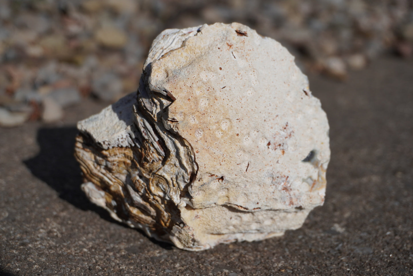 Agate Geode