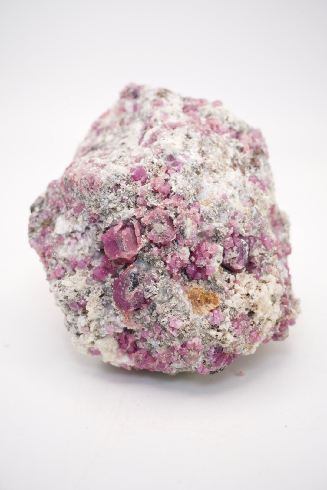 Mixed Specimen Bundle