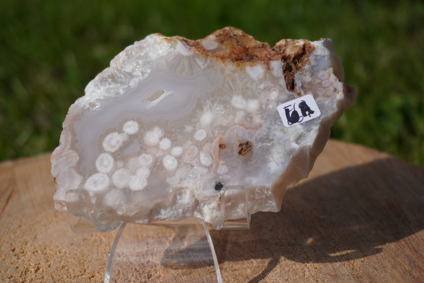 Pink Amethyst Flower Agate Slabs