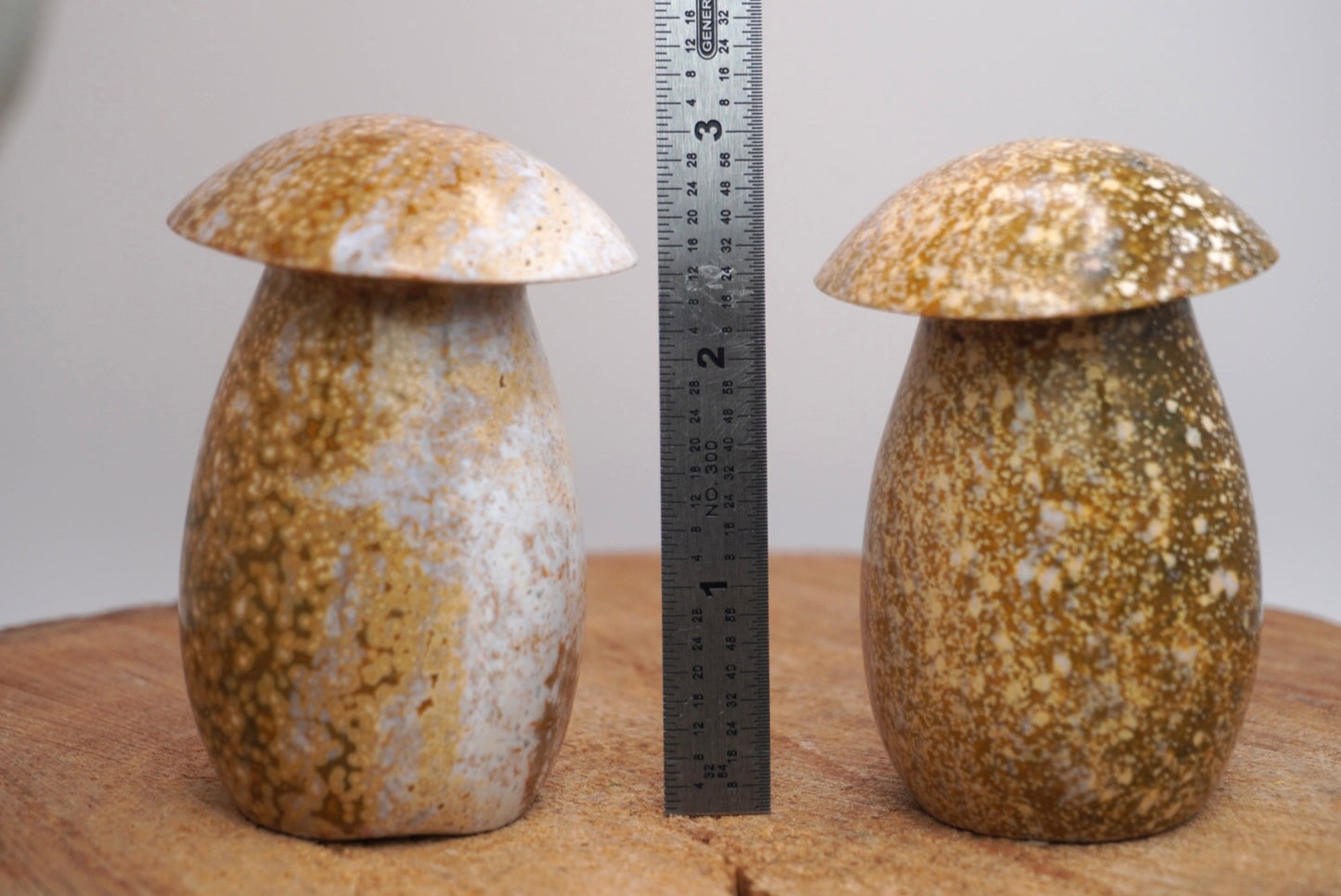 Mushies de jaspe marino