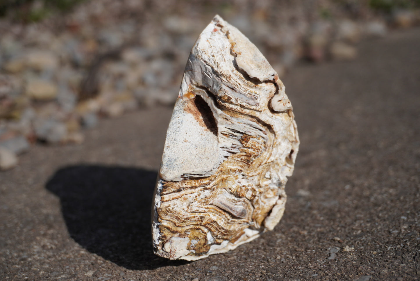 Agate Geode