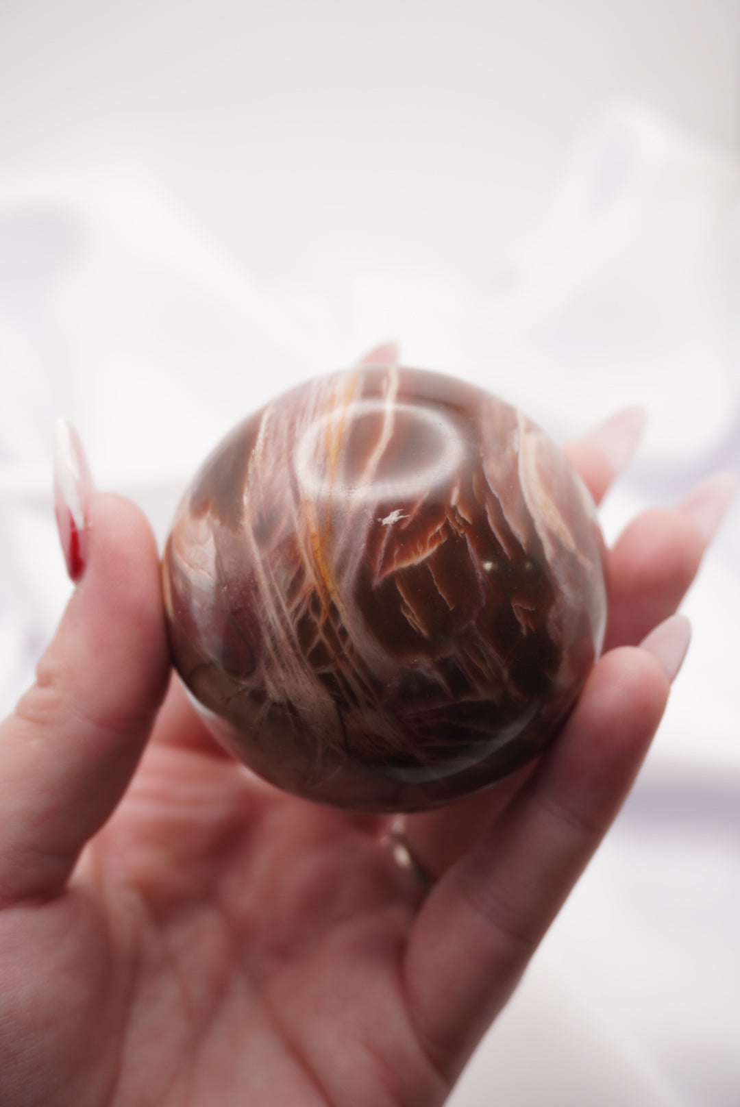 Petrified Wood Sphere