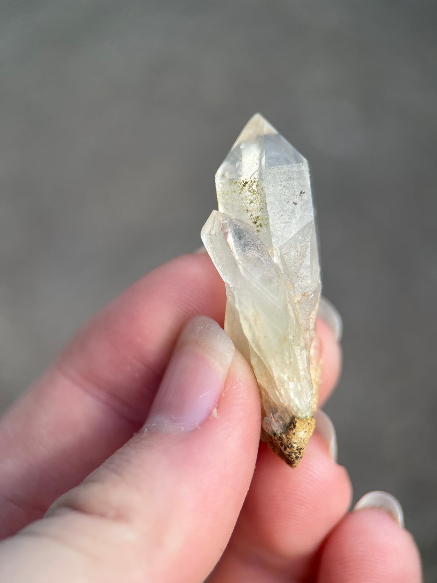 Forest Epidote & Quartz