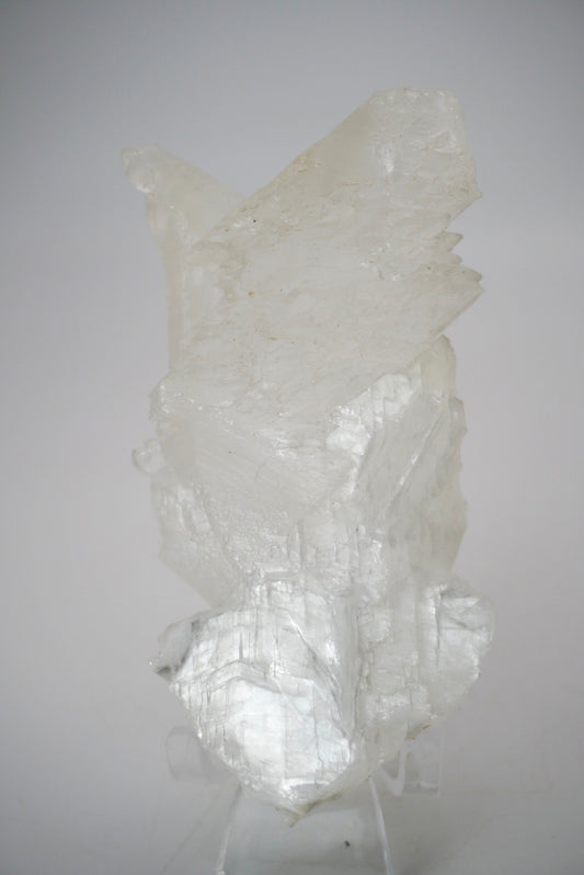 Fish Tail Selenite