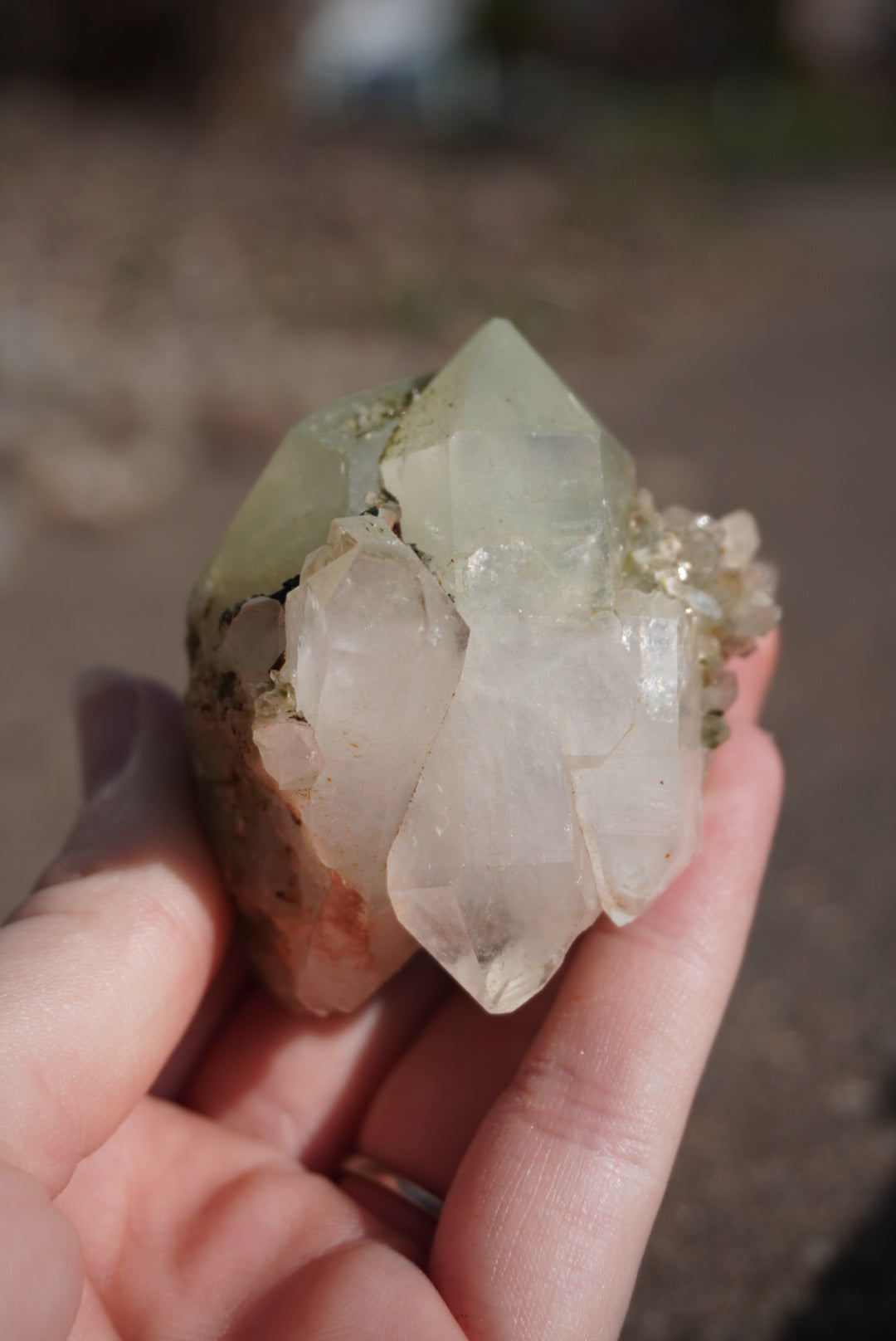 Forest Epidote & Quartz