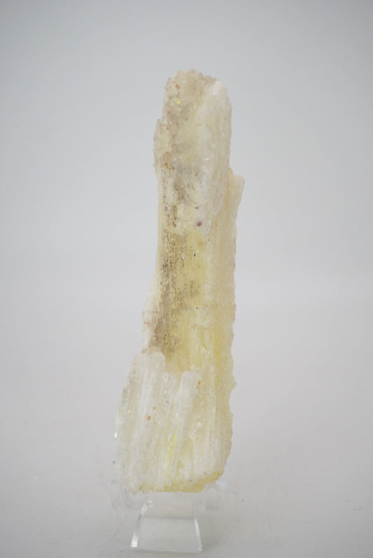 Ram’s Horn Selenite from Mexico