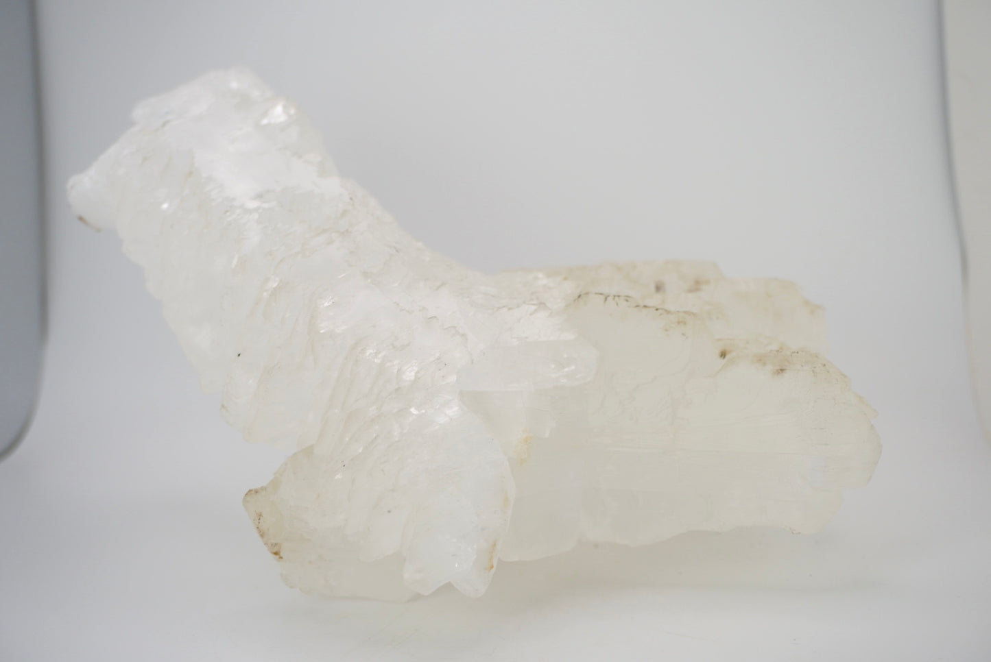 Large Fish Tail Selenite