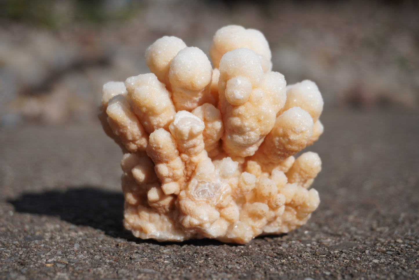 Cave Calcite