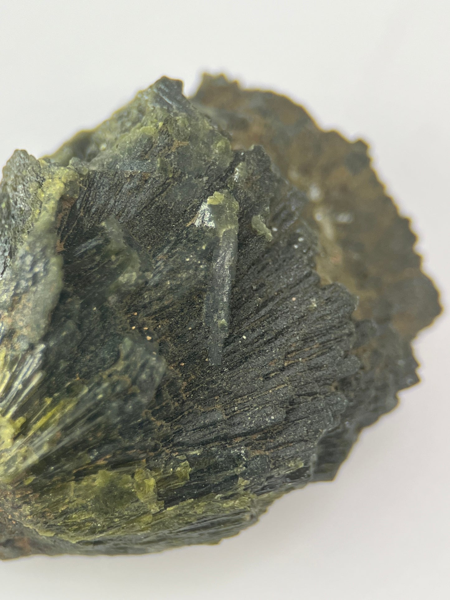 Epidote Fan