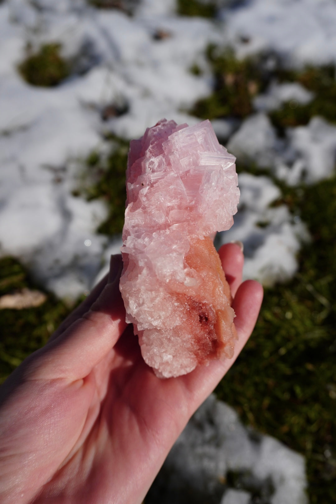 Pink Halite on Trona