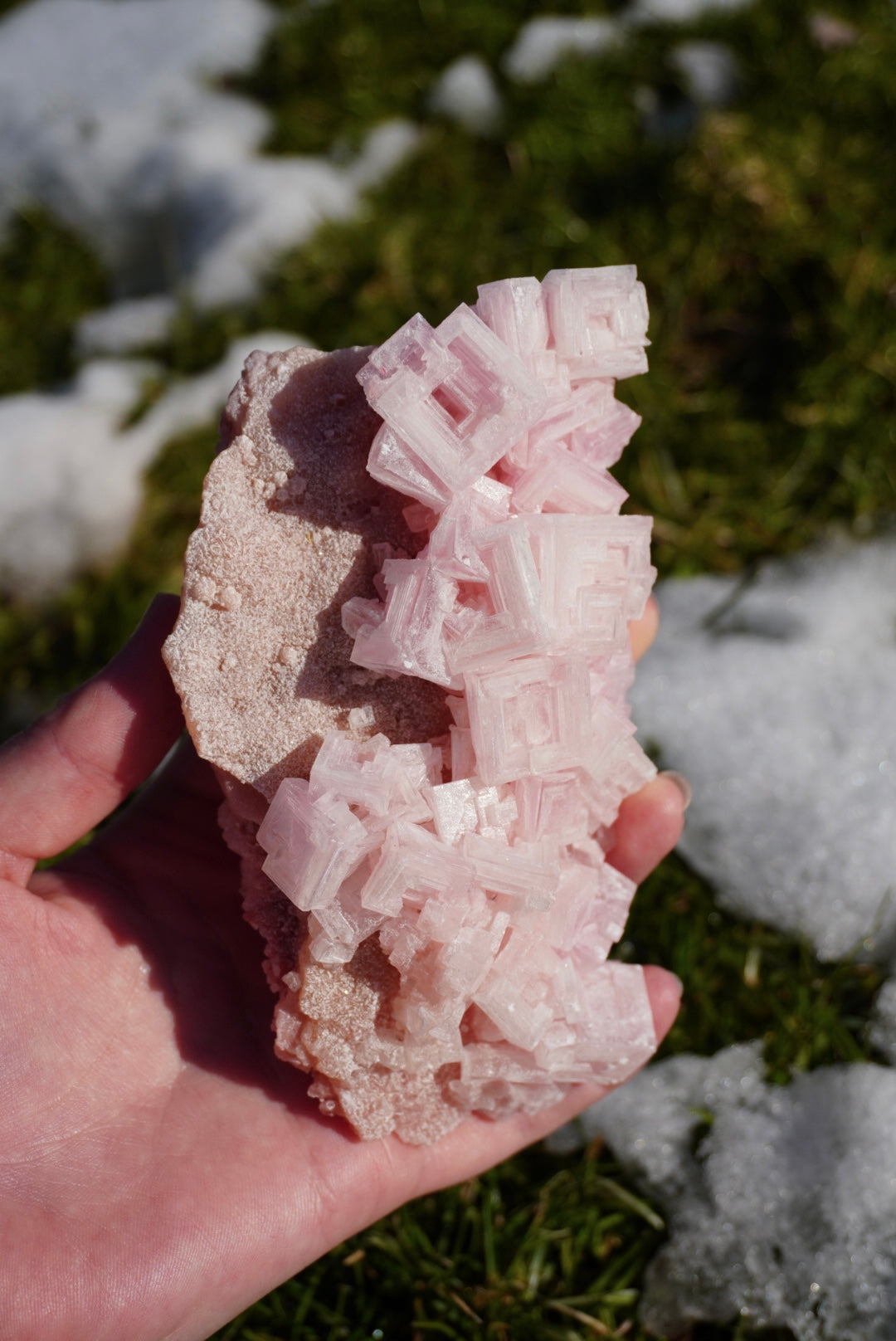 Pink Halite on Trona