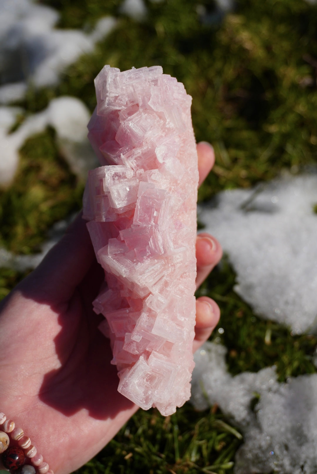 Pink Halite on Trona