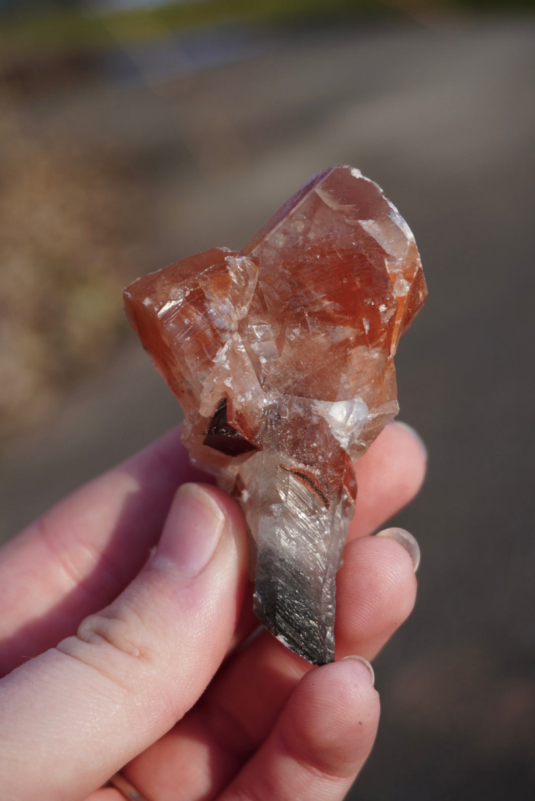 Medium Mariposa Calcite