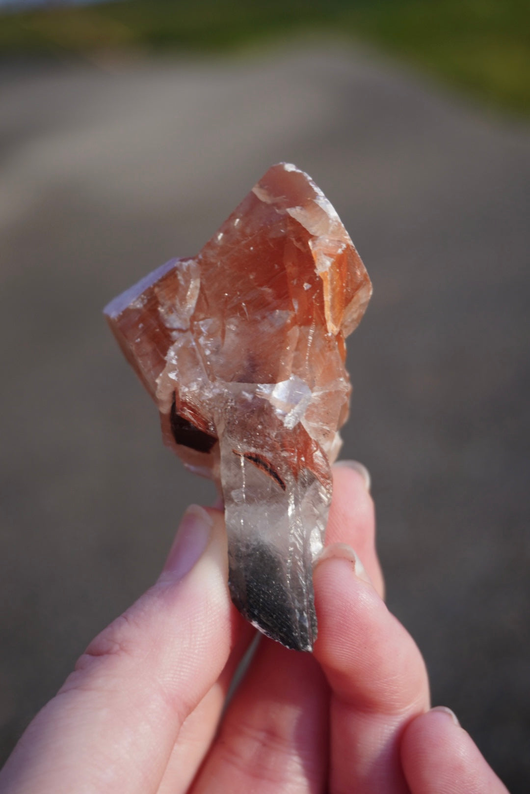 Medium Mariposa Calcite