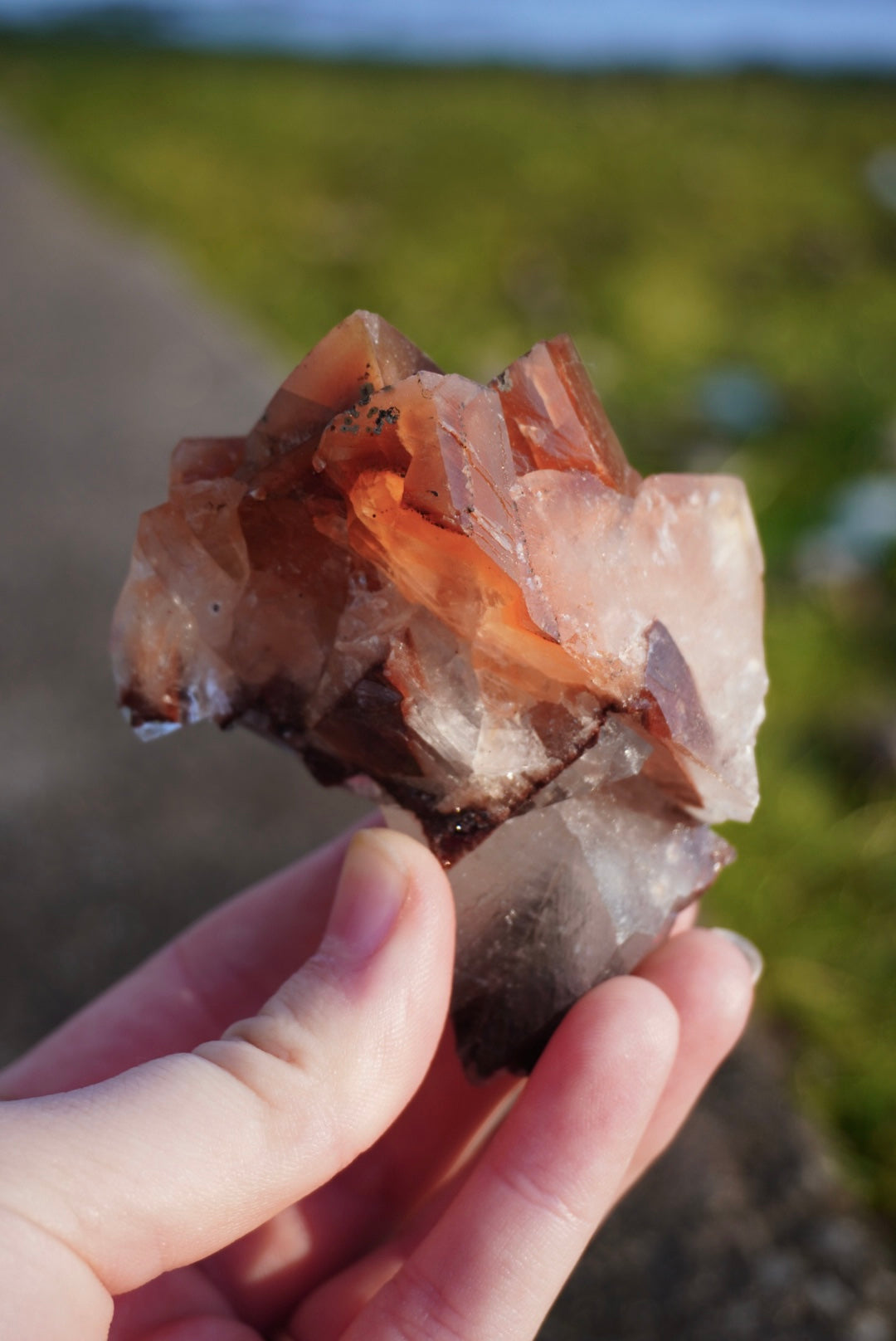 Medium Mariposa Calcite