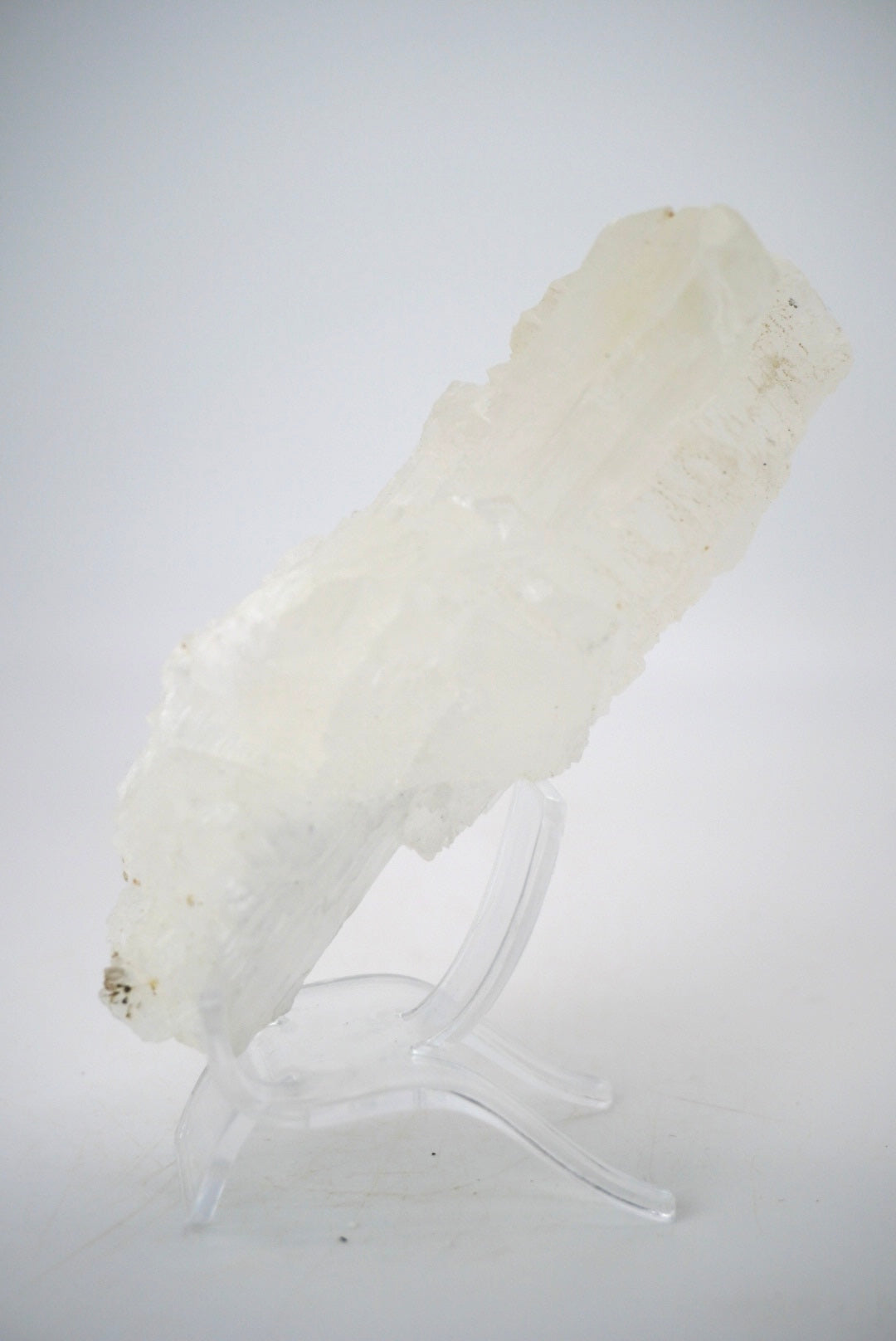 Fish Tail Selenite