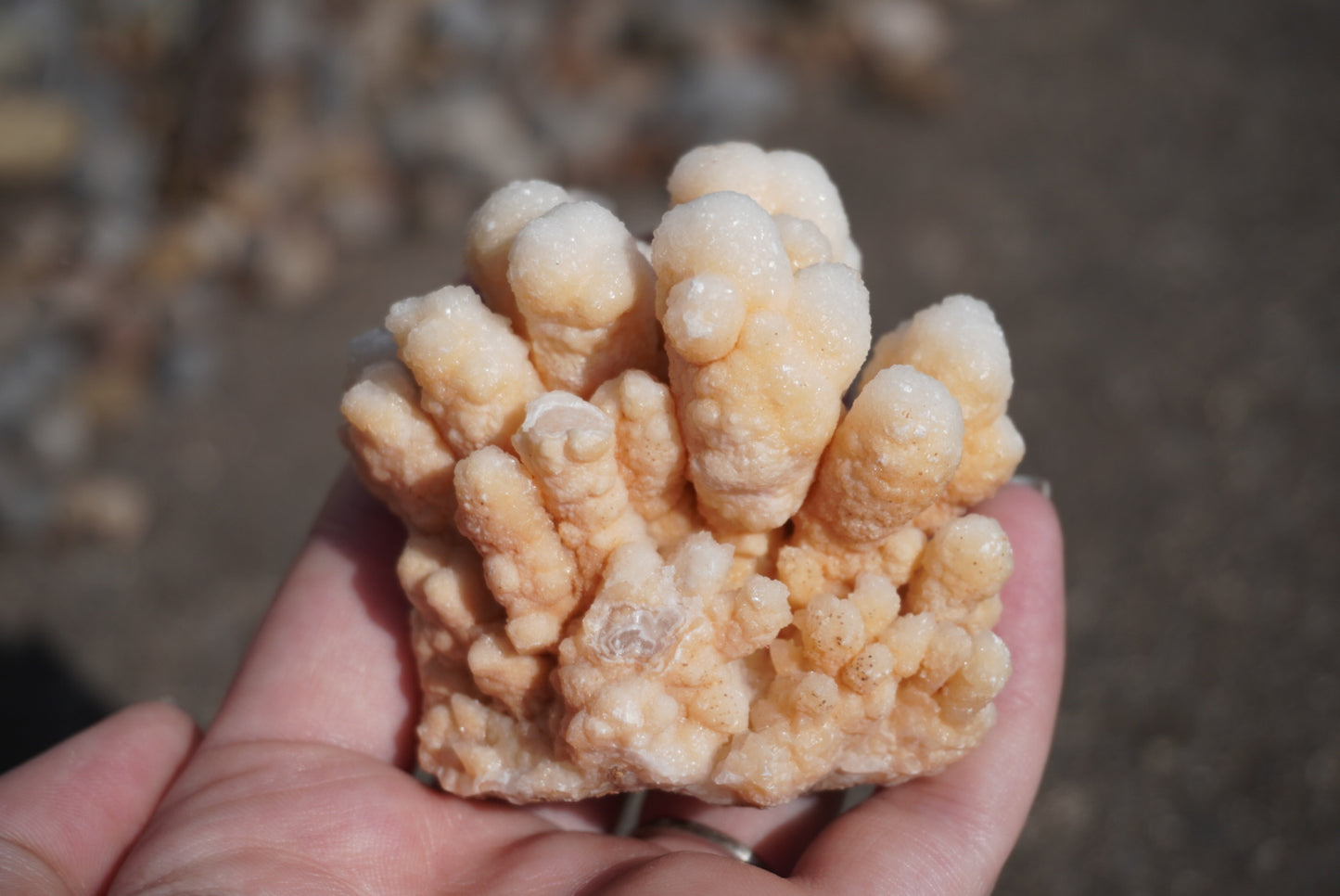 Cave Calcite