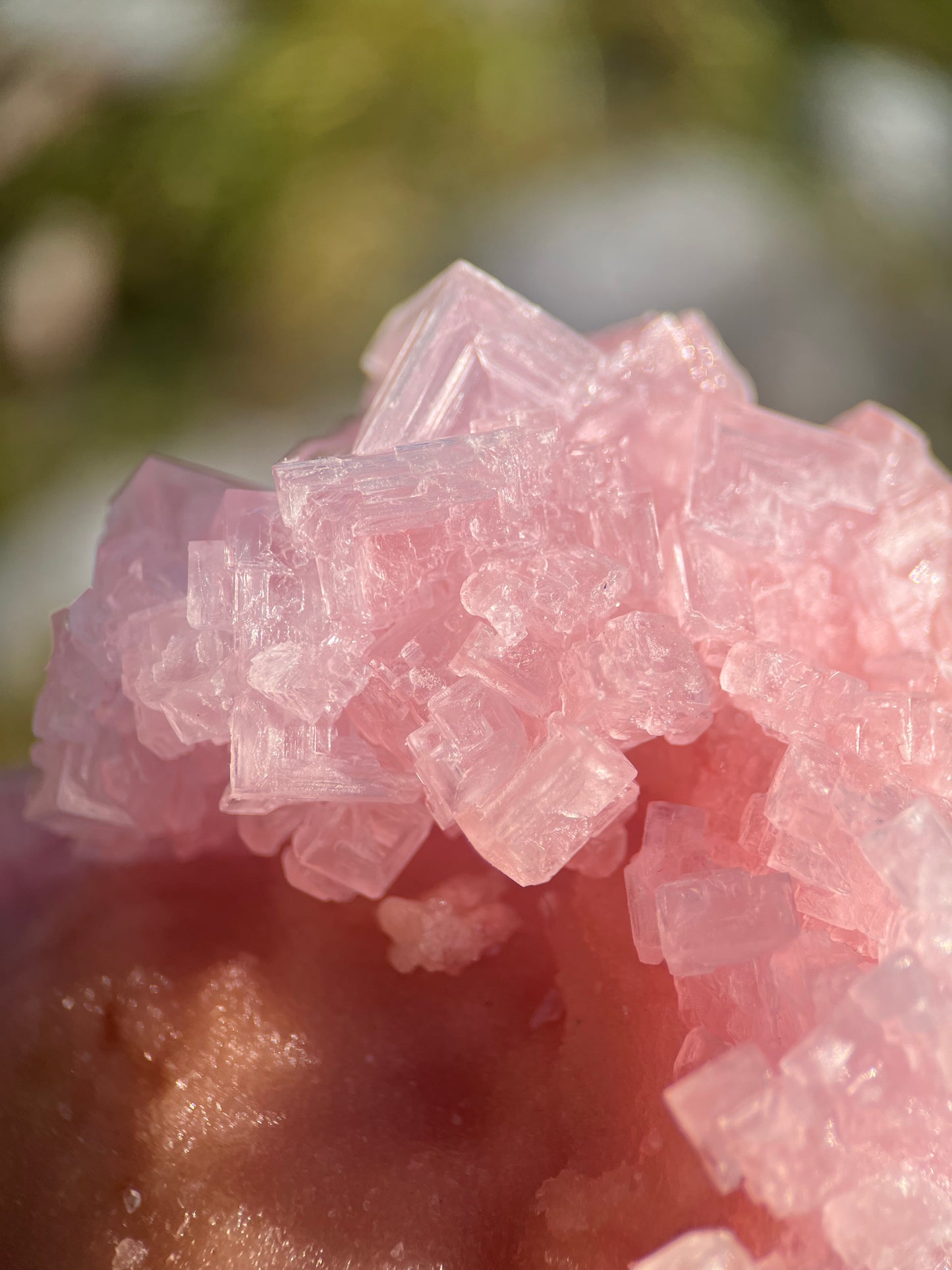 Pink Halite on Trona