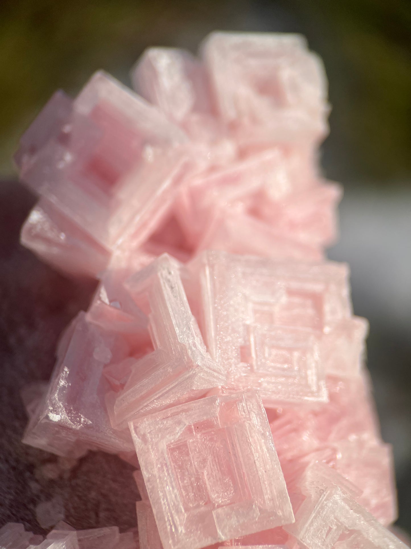 Pink Halite on Trona