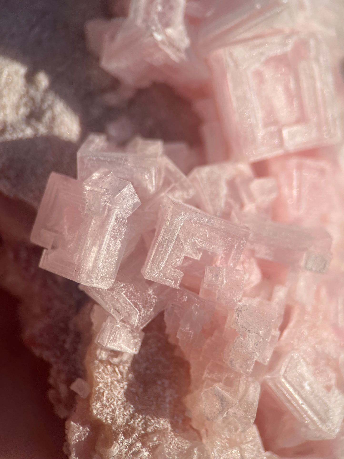 Pink Halite on Trona