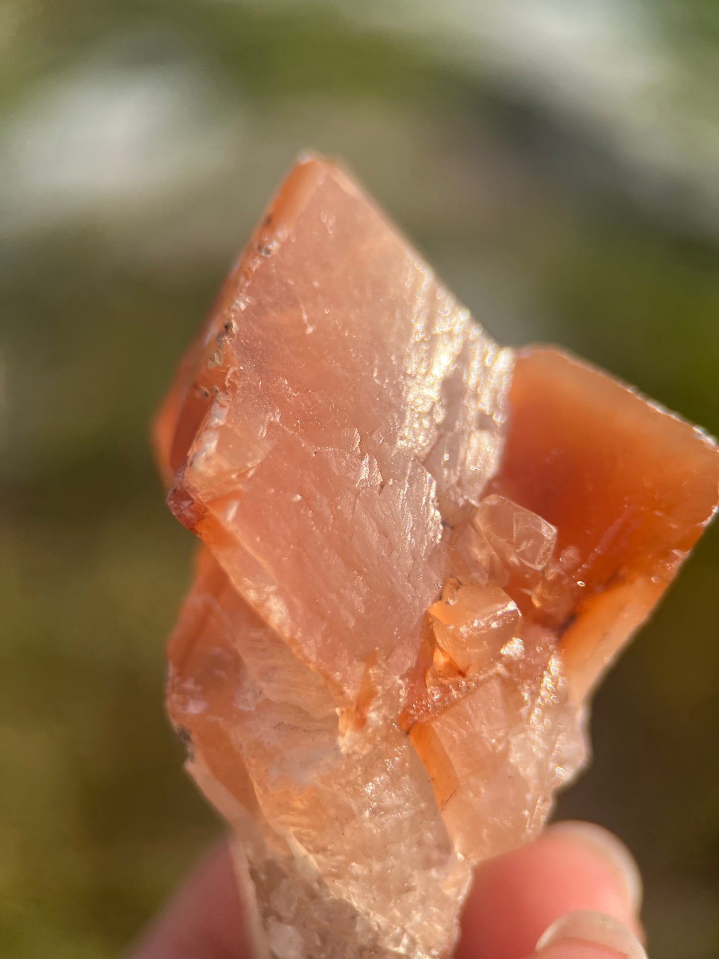 Medium Mariposa Calcite