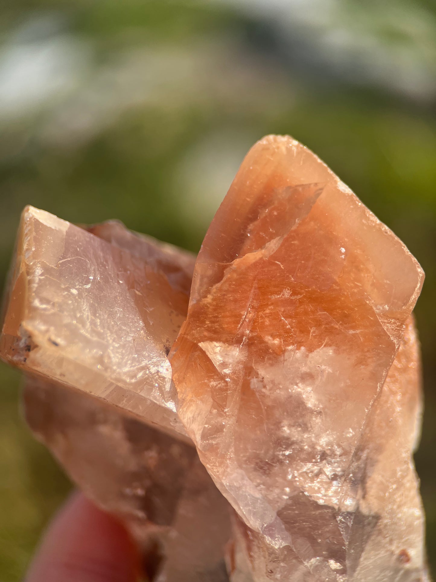 Medium Mariposa Calcite