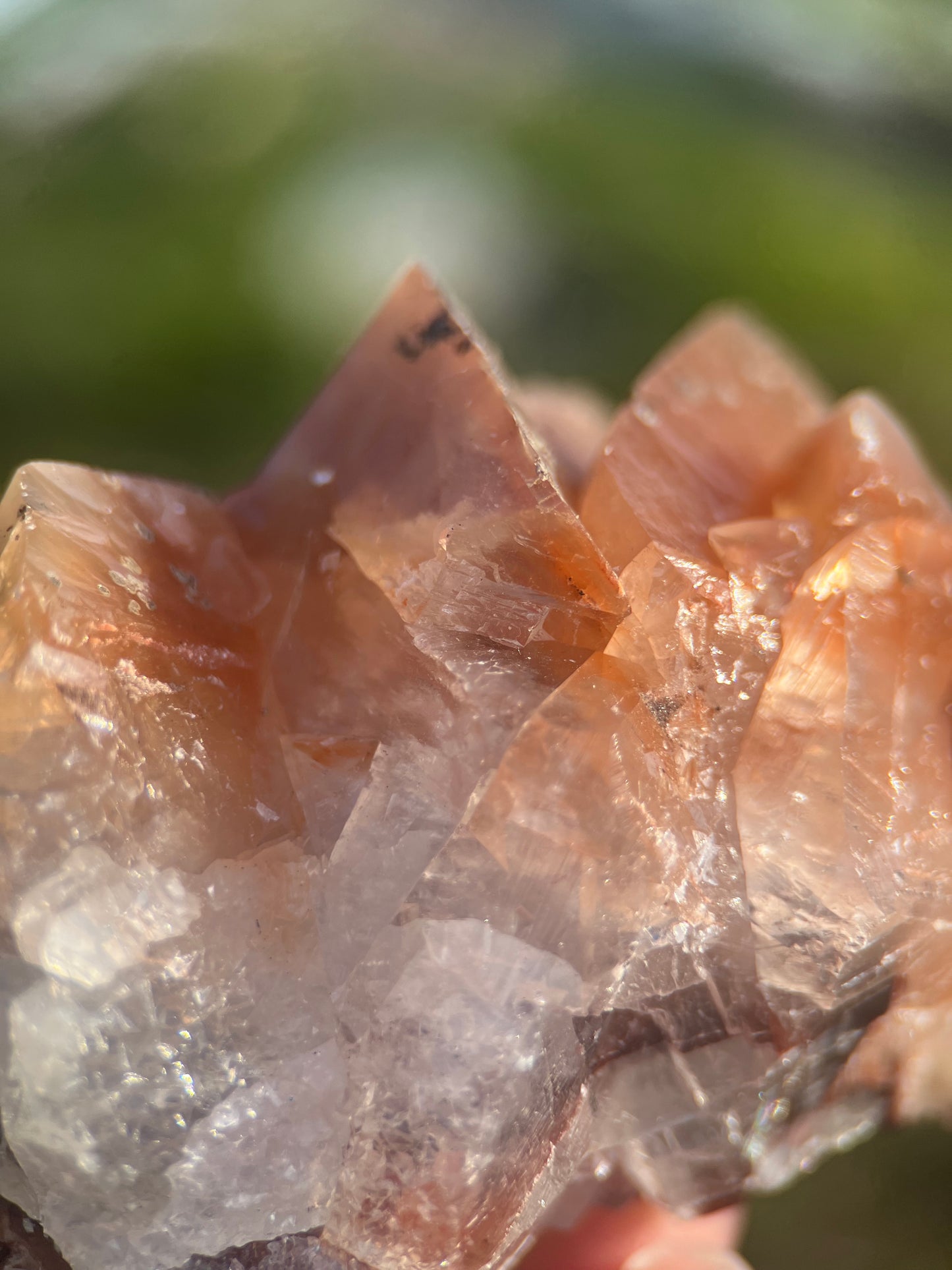 Medium Mariposa Calcite